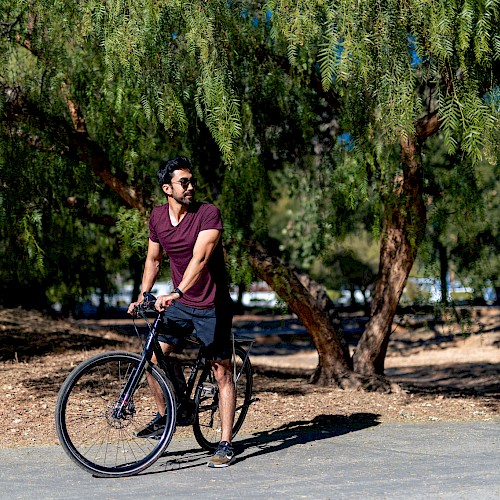 Hayes Mansion San Jose, Curio Collection by Hilton