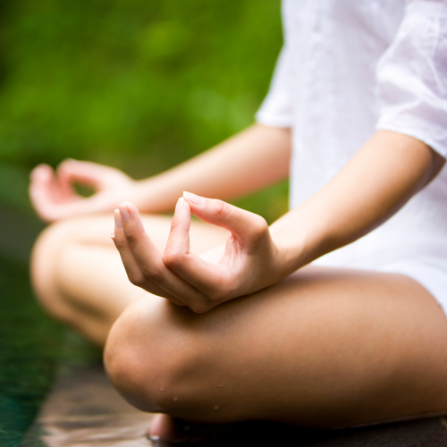 Hayes Mansion San Jose, Curio Collection by Hilton