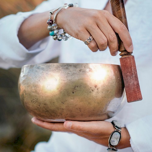 Hayes Mansion San Jose, Curio Collection by Hilton